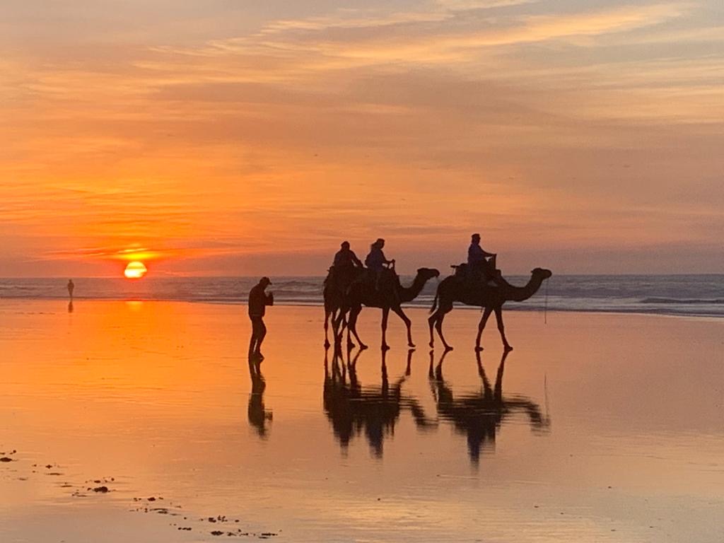 Horses trip in Morocco 