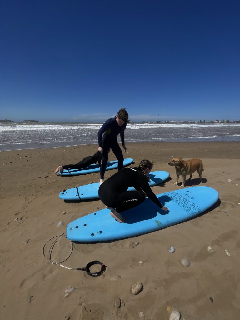 Surf rental in Essaouira