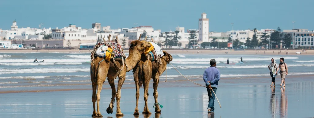 Surf Essaouira